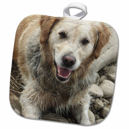 3D Rose Blue Swirling Clouds Pot Holder, 8" x 8"