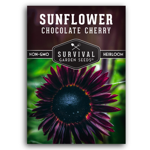 Survival Garden Seeds - Chocolate Cherry Sunflower Seed for Planting - Packet with Instructions to Plant and Grow Beautiful Flowers in Your Home Vegetable or Flower Garden - Non-GMO Heirloom Variety