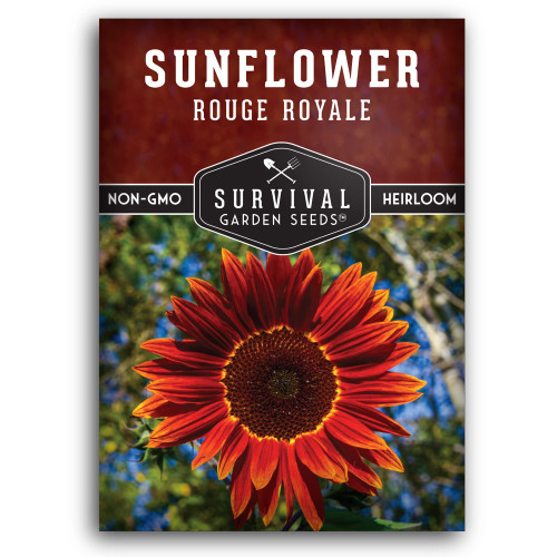 Survival Garden Seeds - Rouge Royale Sunflower Seed for Planting - Packet with Instructions to Plant & Grow Crimson Flowers in Your Home Flower & Vegetable Garden - Non-GMO Heirloom Variety