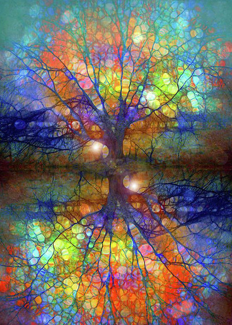 DAICHEL Diamond Art Painting Kits for Adults - Full Drill Diamond Dots Paintings for Beginners, Round 5D Paint with Diamonds Pictures Gem Art Painting Kits DIY Adult Crafts Kits 12x16inch DAICHEL Diamond Art Painting Kits for Adults - Full Drill Diamond Dots Paintings for Beginners, Round 5D Paint with Diamonds Pictures Gem Art Painting Kits DIY Adult Crafts Kits 12x16inch