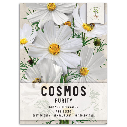 Seed Needs, Purity Cosmos Seeds - 400 Heirloom Seeds for Planting Cosmos bipinnatus - White Blooms, Attracts Butterflies & Pollinators (1 Pack) Seed Needs, Purity Cosmos Seeds - 400 Heirloom Seeds for Planting Cosmos bipinnatus - White Blooms, Attracts Butterflies & Pollinators (1 Pack)
