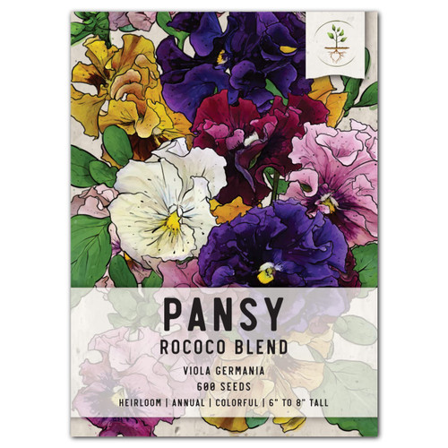 Seed Needs, Rococo Pansy Seeds - 600 Heirloom Seeds for Planting Viola Germania - Colorful Blooms for an Outdoor Flower Garden, Attracts Pollinators (1 Pack) Seed Needs, Rococo Pansy Seeds - 600 Heirloom Seeds for Planting Viola Germania - Colorful Blooms for an Outdoor Flower Garden, Attracts Pollinators (1 Pack)