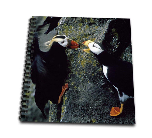 3dRose Alaska, Pribilof Islands. Puffin Birds, Cliffside-Us02 Bja0099-Jaynes Gallery-Mini Notepad, 4 by 4" (db_87344_3)