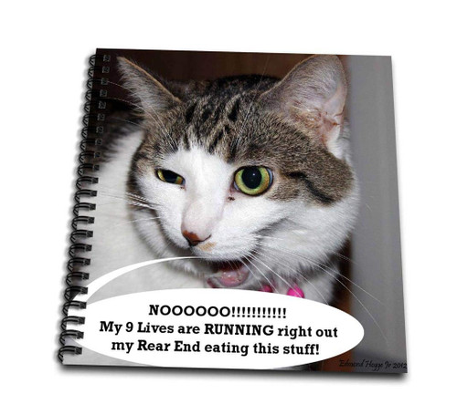 3dRose Calico Kitty Funny Face-Mini Notepad, 4 by 4-inch (db_46503_3)