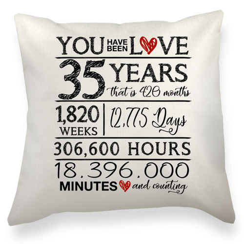 Wlesinzt 35th Birthday Decorations for Women Men Throw Pillow Covers 18X18 35th Birthday Gifts for Her Him Best Gifts for 35 Year Old Woman 35 Year Old Gift Ideas