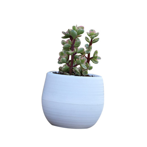 Happyyami planters for Indoor Plants Succulent Flower pots Resin Flower pots for Plants Mini planters Succulent Plant pots Small Plant pots Indoor Succulent pots Flowers White Fertilizer