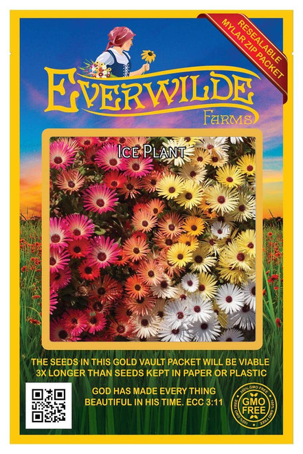 Everwilde Farms - 2000 Livingston Daisy Ice Plant Wildflower Seeds - Gold Vault Jumbo Seed Packet Everwilde Farms - 2000 Livingston Daisy Ice Plant Wildflower Seeds - Gold Vault Jumbo Seed Packet