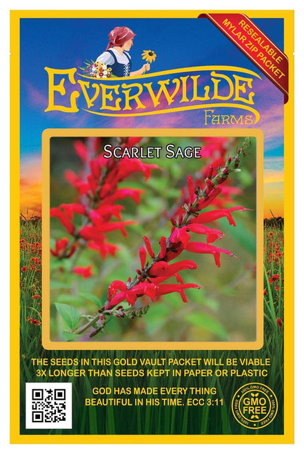 Everwilde Farms - 1000 Scarlet Sage Native Wildflower Seeds - Gold Vault Jumbo Seed Packet Everwilde Farms - 1000 Scarlet Sage Native Wildflower Seeds - Gold Vault Jumbo Seed Packet