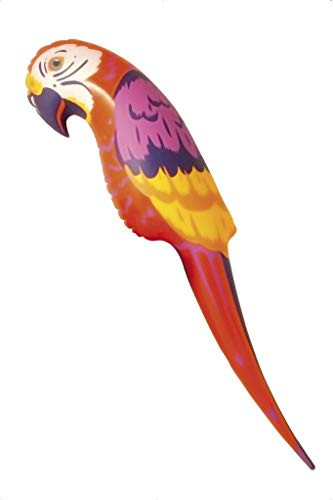 Smiffy's Parrot