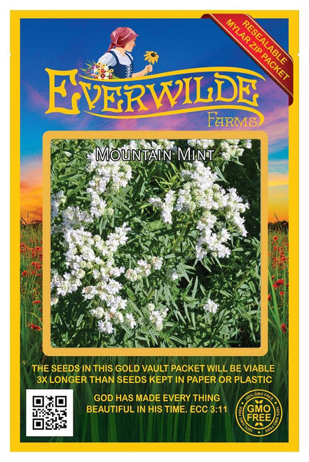 Everwilde Farms - 2000 Mountain Mint Native Wildflower Seeds - Gold Vault Jumbo Seed Packet Everwilde Farms - 2000 Mountain Mint Native Wildflower Seeds - Gold Vault Jumbo Seed Packet