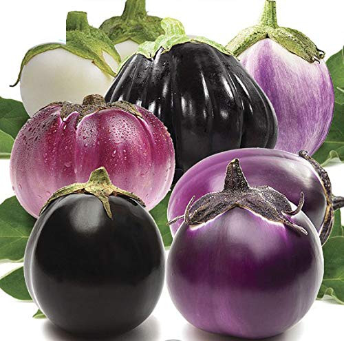 RAISE ME UP: Seeds Eggplant Round Mix Non GMO Heirloom