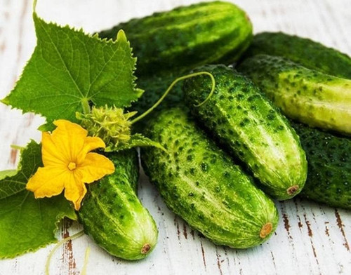 RAISE ME UP: Seeds Cucumber West for Pickling Open-Pollinated Non GMO Heirloom