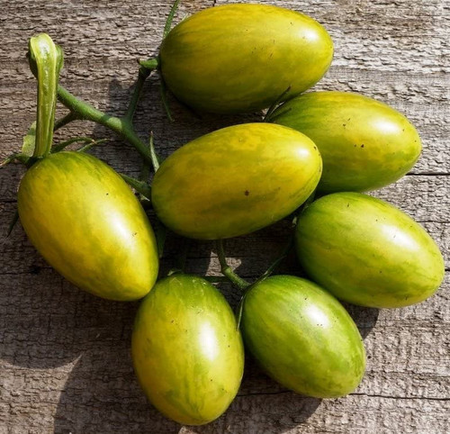 RAISE ME UP: Seeds Green Tiger Tomato Indeterminate Non GMO Heirloom