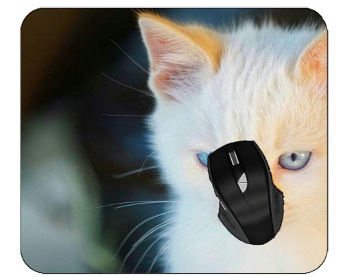 Office Mouse Pad Baby Animal Kitten Pet Cat Mouse Mat