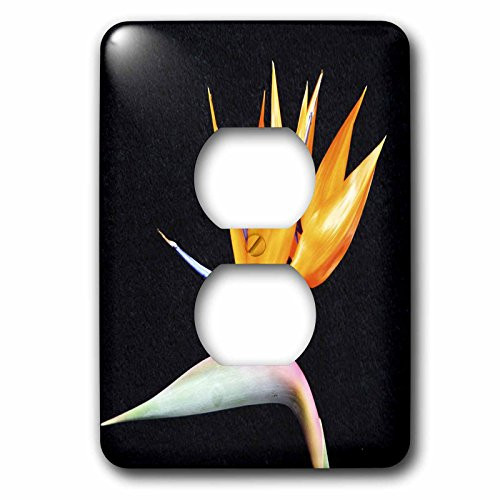 3dRose LSP_50971_6 Tropical Bird of Paradise Outlet Cover