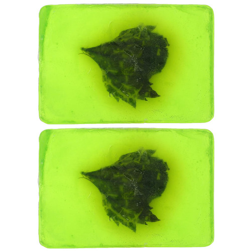Healifty 2pcs Essential Oil Soaps Natural Mugwort Wormwood Soaps Essential Oil Bars Body Soap Face Soap Bath Soap Bars for Women Men Green Healifty 2pcs Essential Oil Soaps Natural Mugwort Wormwood Soaps Essential Oil Bars Body Soap Face Soap Bath Soap Bars for Women Men Green