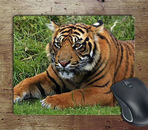 Big Tiger Photography - Computer Anti-Slip Mousepad Mouse Pad Mouse Mat Matt Pad