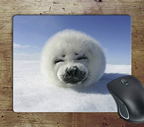 Super Cute White Seal - Computer Anti-Slip Mousepad Mouse Pad Mouse Mat Matt Pad