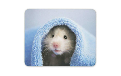 Cute Hamster Mouse Mat Pad - Mice Rat Rodent Pet Gerbil Fun Computer Gift HB4886