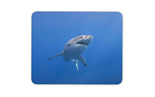 Great White Shark Mouse Pad - Surf Student Teenager Dad Mousepad Mouse Mat Gift Computer -14210