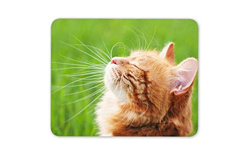 Fluffy Ginger Cat Mouse Mat Pad - Kitten Cute Pet Animal Mouse Pad Mousepad -14867