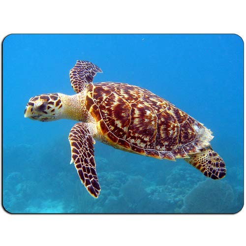 Sea Turtle HB0734 Mouse Mat Pad - Mouse Pad Mousepad