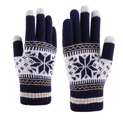 Winter Touch Screen Gloves for Women Men Touch Screen Texting Snowflake Warm Knitted Gloves Cold Weather Gloves