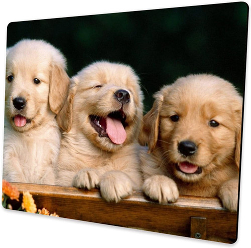 Ersonalized Rectangular Gaming Mouse Pad, Golden Retriever Puppy Mouse Pad, Natural Anti-Slip Rubber Laptop Mouse Pad