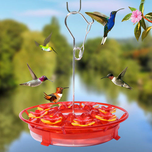 Hummingbird Feeders for Outdoors Hanging, No Leak Humming Bird Feeder All-Round Perch Built-in Ant Moat Hummingbird Feeders with 8 Feeder Ports, Easy Fill and Clean, Outdoor Hanging Decoration (A) Hummingbird Feeders for Outdoors Hanging, No Leak Humming Bird Feeder All-Round Perch Built-in Ant Moat Hummingbird Feeders with 8 Feeder Ports, Easy Fill and Clean, Outdoor Hanging Decoration (A)