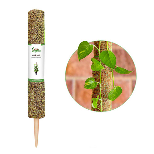 Grow Organiks 12 inch, 1 Pack Coco Coir Moss Pole for Plants, Moss Pole for Plants Monstera, Coco Coir Moss Poles Plant Support Stakes for Indoor Climbing Plants Grow Upwards, Coco Coir Totem Stakes