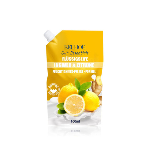 Foaming Hand Wash Hand Soap Moisturizing Hand Wash All Natural Liquid Hand Soap Refill Lemon & mango Gentle & Moisturizing Hand Wash Refill for Kitchen and Bathroom Vegan & Cruelty Free (Ginger Lemon)