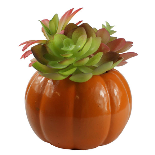 Connie N Randy Fall Into Autumn Faux Succulent