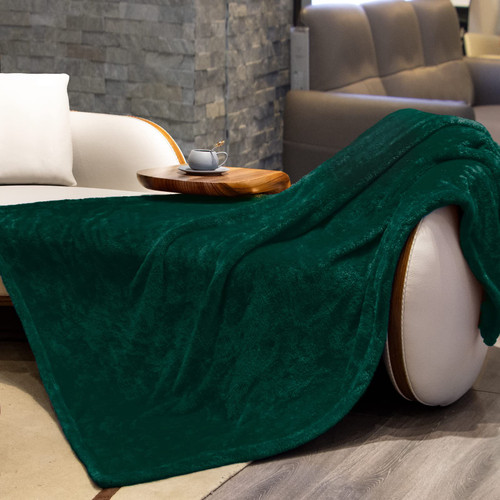 Fleece Throw Blanket Cozy Soft Lightweight Throw Blankets Warm Plush Green Fall Blankets and Throws Couch Sofa Bed Camping Travel Picnic Outdoor Blanket Bedding Kid Baby Boys Girls Adults 50x70 in Fleece Throw Blanket Cozy Soft Lightweight Throw Blankets Warm Plush Green Fall Blankets and Throws Couch Sofa Bed Camping Travel Picnic Outdoor Blanket Bedding Kid Baby Boys Girls Adults 50x70 in