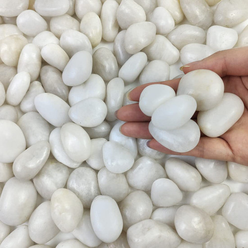 FANTIAN Small White Pebbles for Plants - 0.8-1.2 inch Decorative White River Rocks for Plants, Aquariums Rocks, Landscaping Rocks, White Stones for Planter Vase and Outdoor Garden Rocks 2 Pounds FANTIAN Small White Pebbles for Plants - 0.8-1.2 inch Decorative White River Rocks for Plants, Aquariums Rocks, Landscaping Rocks, White Stones for Planter Vase and Outdoor Garden Rocks 2 Pounds