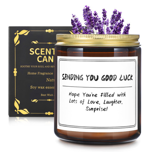 Lavender Scented Candles, Aromatherapy Candles Gifts for Women, 100% Natural Soy Wax Jar Candle Lavender Scented Candles, Aromatherapy Candles Gifts for Women, 100% Natural Soy Wax Jar Candle