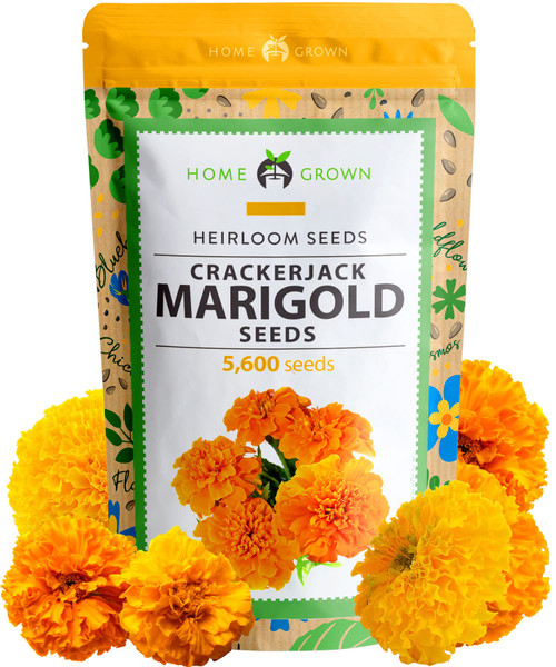 Marigold Seeds Bulk Mix - 5600+ Crackerjack Marigold Flower Seeds for Planting Outdoors - Flowers Seed for Companion Planting - Wildflower African Marigold Seeds (Tagetes erecta)