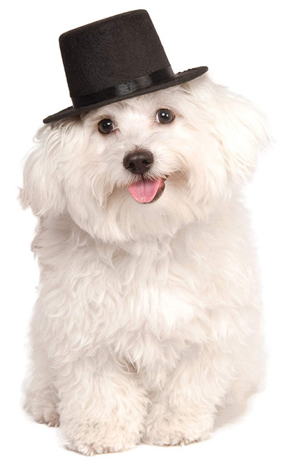 Rubies Costume Company Top Hat for Your Pet