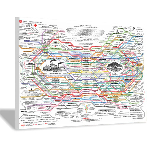 The Healing Web Poster High Definition Printing of Natural Remedies Charts on Canvas, Visual Guides for Holistic and Traditional Therapies for Health Issues Printed on Posters (30X45cm No Framed)