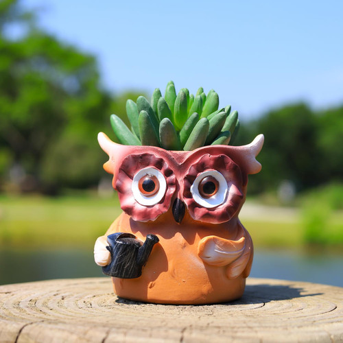 SnugMaker Owl Pot Animal Planter - Resin Succulent Plant Pot with Drainage Unique Planters for Indoor Plants Owl Decor Succulent Planters Gifts for Home Office Desk Garden Pot Decoration(Small)