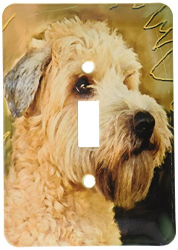 3dRose lsp_4808_1 Soft Coated Wheaten Terrier Portrait Single Toggle Switch