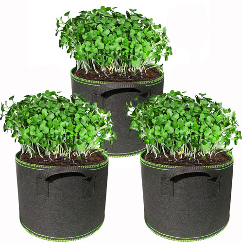 Plant Grow Bags,Pack of 3 Aeration Fabric Pots Grow Bag Plant Fabric Pots Potato Grow Bags with Handles for Vegetables,Flowers,Plants,Strawberry,Tomato,Fruits,Garden Bag Planter Pots,1 Gallon,Green
