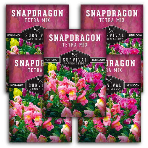 Survival Garden Seeds - Snapdragon Tetra Mix Seed for Planting - 5 Packs with Instructions to Plant and Grow Beautiful Colorful Flowers in Your Home Vegetable Garden - Non-GMO Heirloom Variety