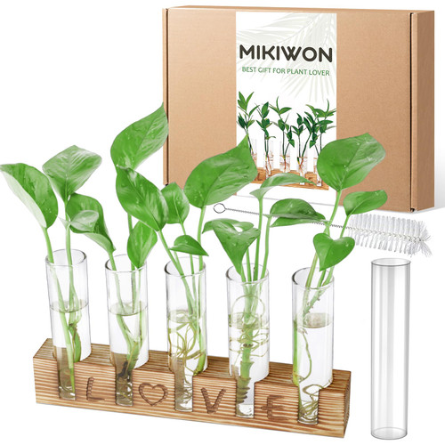 Mikiwon Propagation Stations Terrarium with Wooden Stand,5 Test Tube Desktop Glass Plant Terrarium in Wooden Stand for Hydroponic Plants Cutting Office Home Decoration Mikiwon Propagation Stations Terrarium with Wooden Stand,5 Test Tube Desktop Glass Plant Terrarium in Wooden Stand for Hydroponic Plants Cutting Office Home Decoration