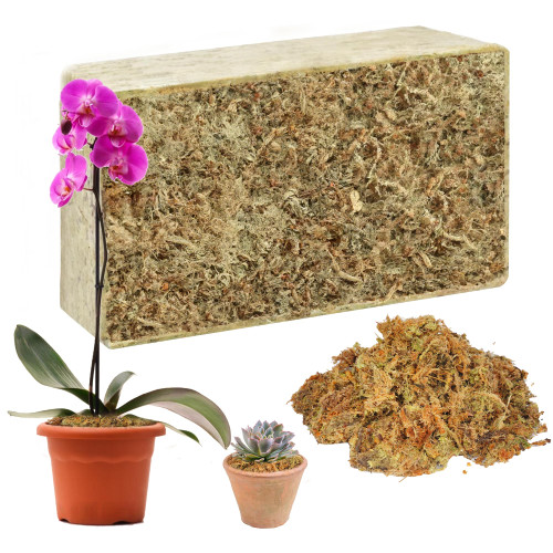 Hourleey 10.6 oz Sphagnum Moss for Plants, Premium Natural Long Fibered Dried Moss Potting, Sphagnum Peat Moss Bulk for Orchids Succulent Carnivorous Potted Plant Reptiles Medium Sarracenia Hourleey 10.6 oz Sphagnum Moss for Plants, Premium Natural Long Fibered Dried Moss Potting, Sphagnum Peat Moss Bulk for Orchids Succulent Carnivorous Potted Plant Reptiles Medium Sarracenia