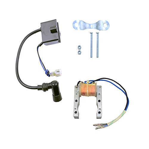 FLYPIG CDI Ignition Coil + Magneto Coil for 49cc 50cc 60cc 80cc 2-Stroke Engines Motor Motorized Bicycle Bike