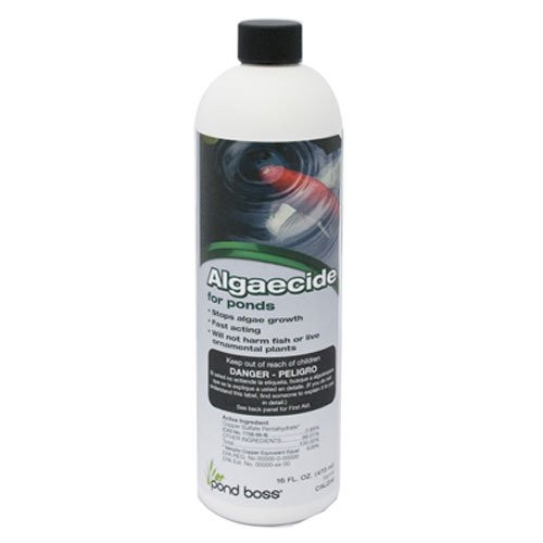 pond boss Algaecide, 16 oz