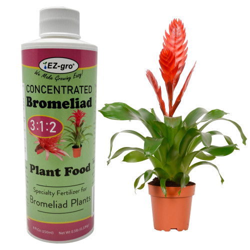 Professional Liquid Bromeliad Fertilizer by EZ-gro | 3:1:2 Ratio of Concentrate Indoor Plant Fertilizer for Your Bromeliads Live Plant | 8 oz Bottle