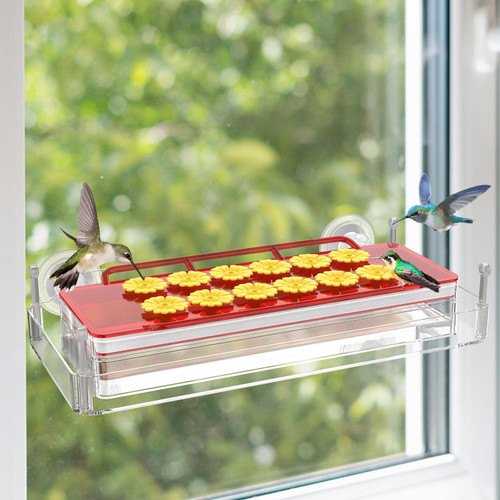 Hummingbird Feeders Window,Hummingbird Feeder for Outdoors Hanging,Plastic Humming Bird Feeder with 12 Feeding Ports, Easy to Clean and Filling,Built-in Moat,Leak-Proof (16oz) Hummingbird Feeders Window,Hummingbird Feeder for Outdoors Hanging,Plastic Humming Bird Feeder with 12 Feeding Ports, Easy to Clean and Filling,Built-in Moat,Leak-Proof (16oz)