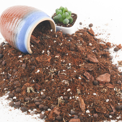 CJGQ Potting Soil Mix 3Quart, Organic Soil Mix Orchid Bark, Sphagnum Moss and Leca Clay Pebbles for Indoor Plants, Orchid Fertilizer Garden Soil for Root Development, Improve Drainage and Aeration