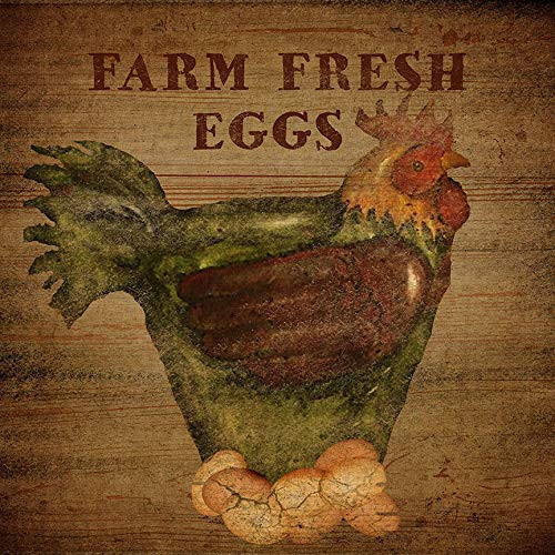 buyartforless Fresh Eggs by Beth Albert 12x12 Graphic Art on Wrapped Canvas, Brown